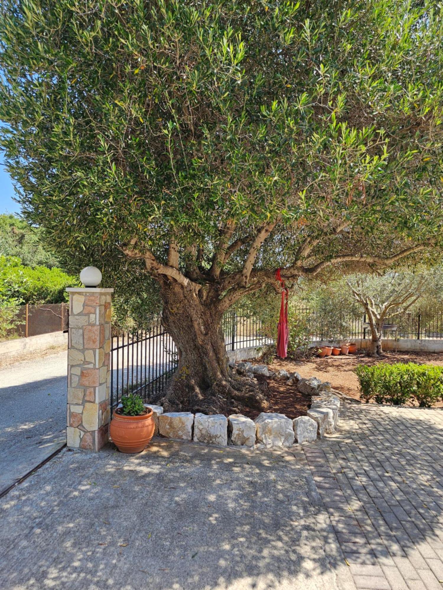 Natura Studios Antipata  Buitenkant foto